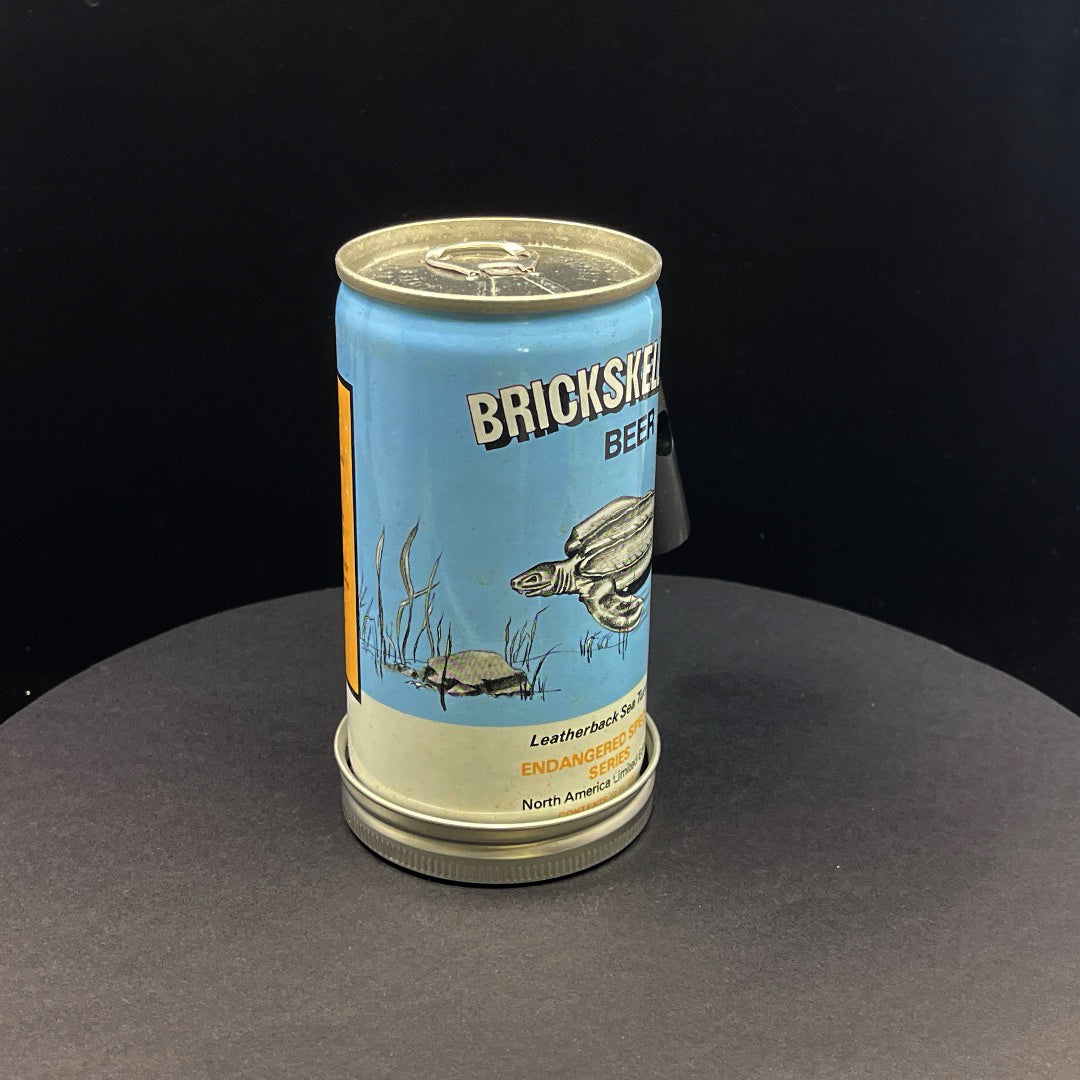 Lo Fi Beer Can Microphone - Sea Turtle