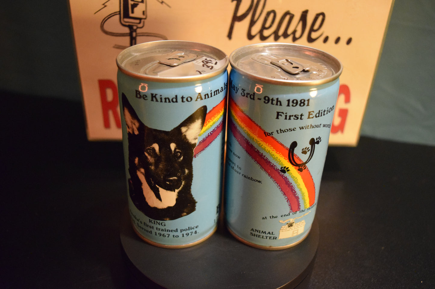 Lo Fi Beer Can Microphone - Rainbow Dog