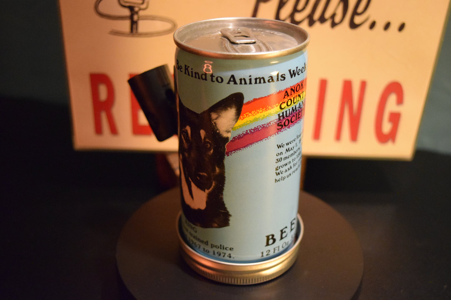 Lo Fi Beer Can Microphone - Rainbow Dog